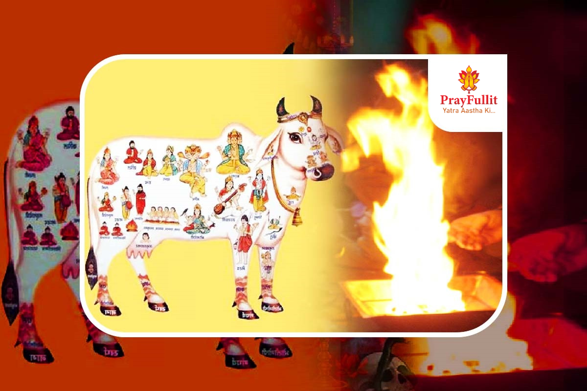 Gau Sukta and Havan
